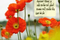 بطاقة الصباح