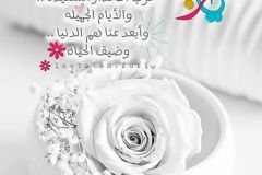 بطاقات الصباح