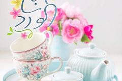 بطاقات الصباح