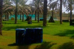 كرة الطلاء Paintball