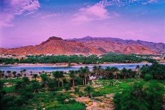فنجاء-منظر