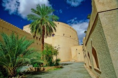 Nizwa Fort Courtyard Tree