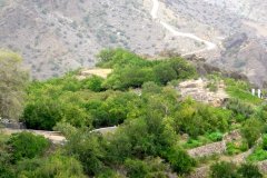 الجبل الأخضر