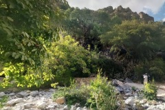 الجبل الأخضر