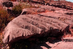 الجبل الأخضر