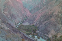 الجبل الأخضر