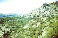 الجبل الأخضر