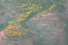 الجبل الأخضر