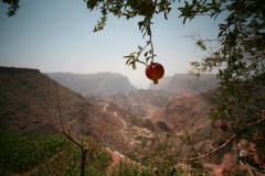 الجبل الأخضر
