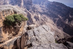 جبل شمس والفالق العظيم