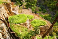 مسفاة العبريين