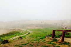 شاطئ المغسيل