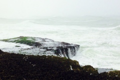 شاطئ المغسيل