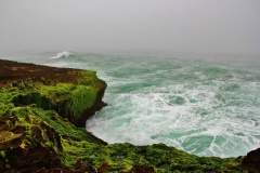 شاطئ المغسيل