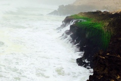 شاطئ المغسيل