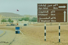 أفتلقوت
