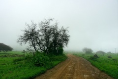 قرية شيحيت