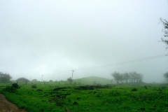قرية شيحيت