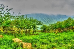 ولاية رخيوت