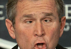 bushsplit300