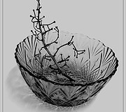 1449437329_66507b38a4_m