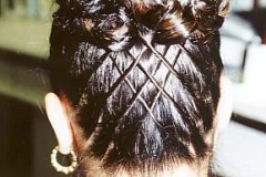 تسريحة للشعر