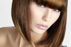 مجموعه من الصبغات والقصات 5