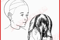 دوره في قص الشعر2